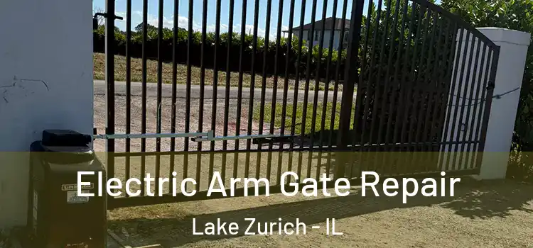 Electric Arm Gate Repair Lake Zurich - IL