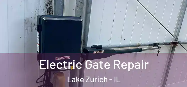 Electric Gate Repair Lake Zurich - IL