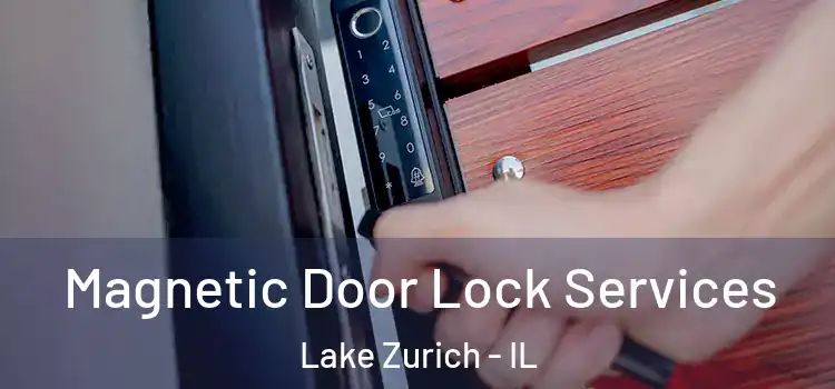 Magnetic Door Lock Services Lake Zurich - IL
